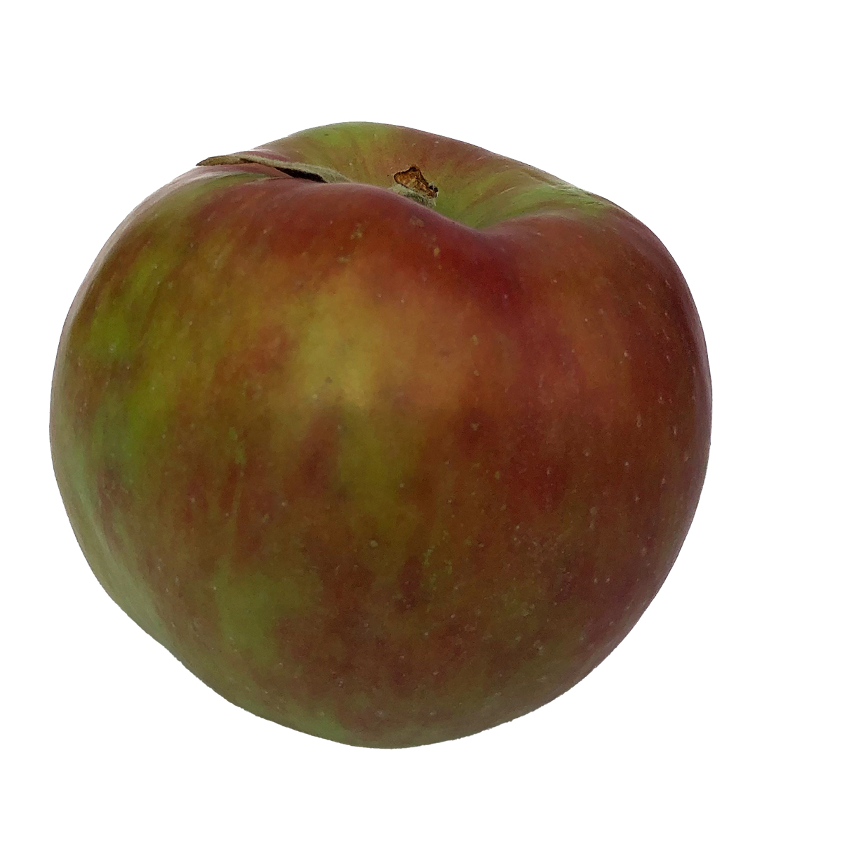 Gravensteiner - Der Rote