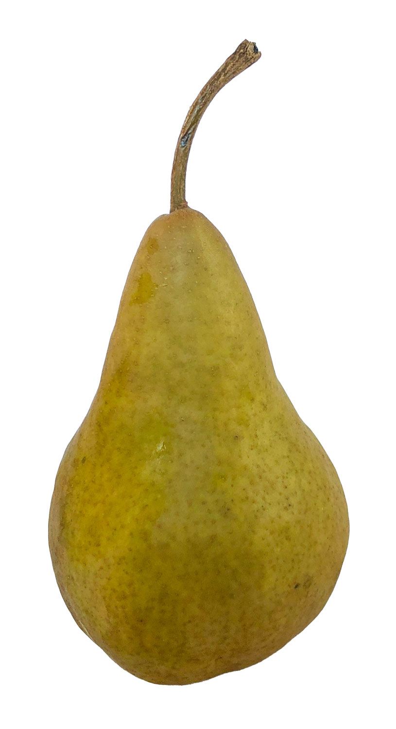 Kaiser Alexander - Die Adlige