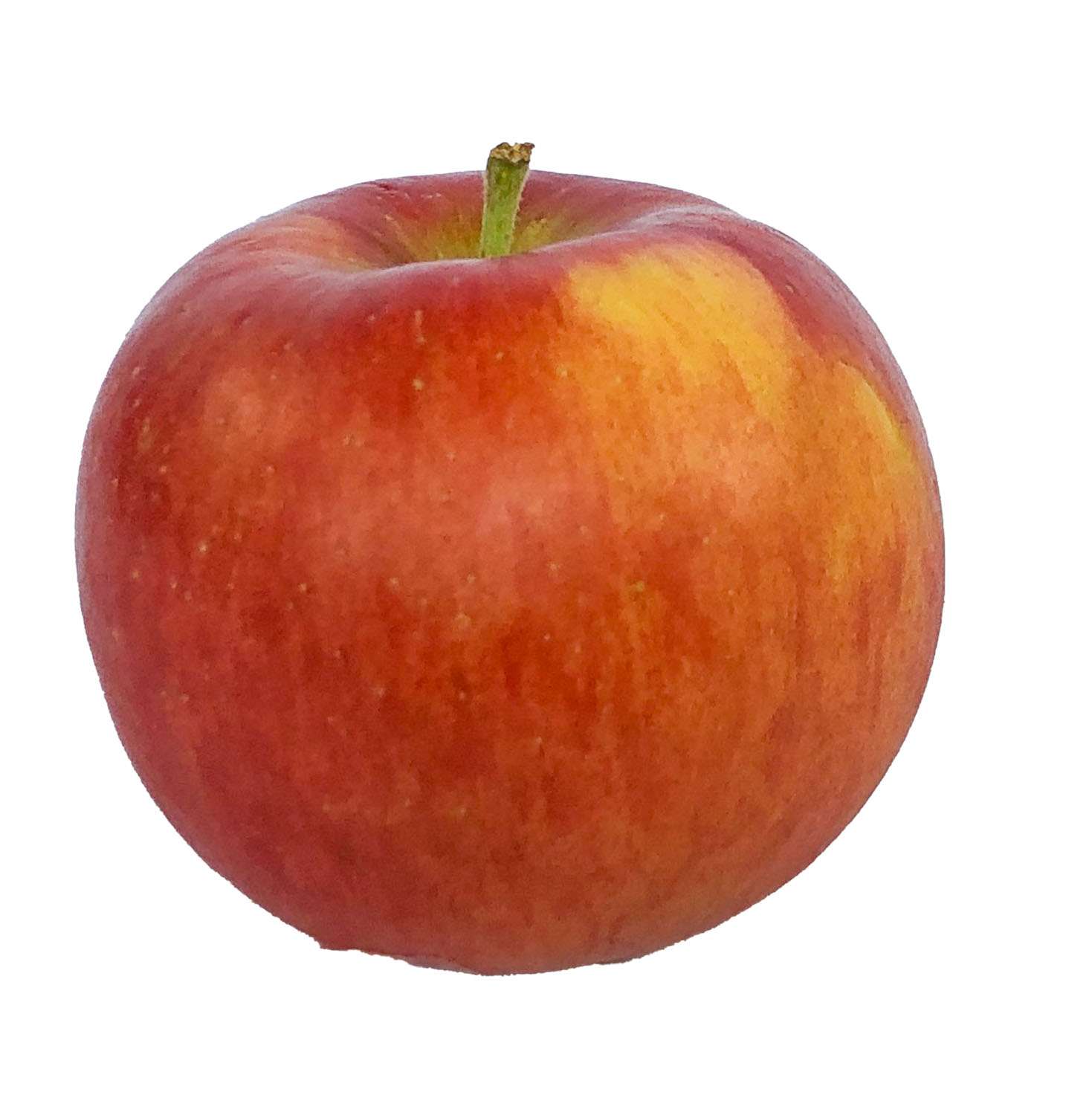 Ladina - Der Schneewittchen-Apfel