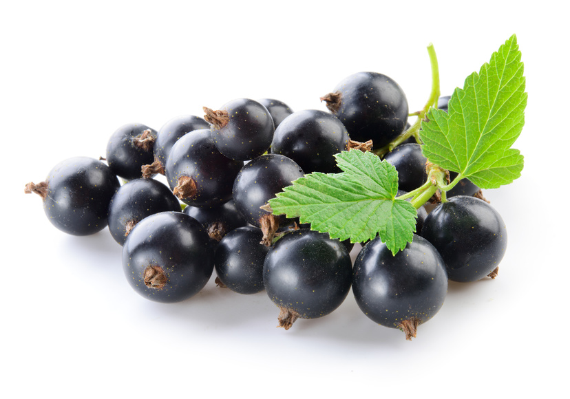 Johannisbeeren schwarz