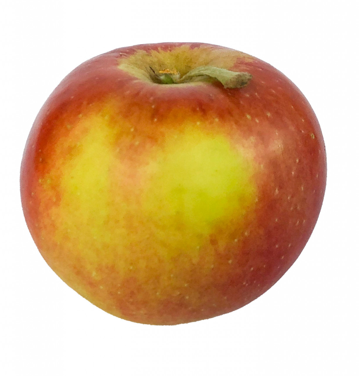 Diwa - Die knackige Schweizerin / Der knackige Schweizer