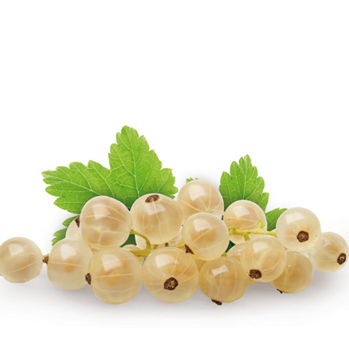 Johannisbeeren weiss 250 g